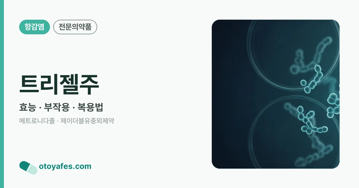 트리젤주 정리 썸네일