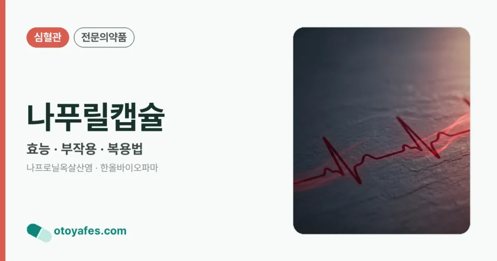 나푸릴캡슐 정리 썸네일