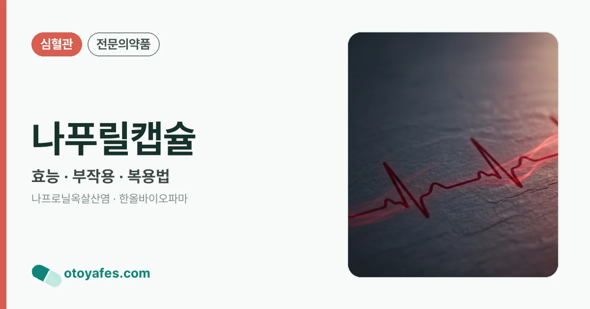 나푸릴캡슐 정리 썸네일