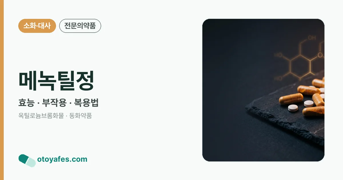메녹틸정 정리 썸네일