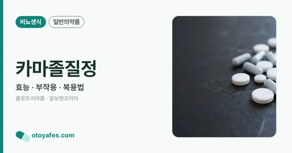 카마졸질정 정리 썸네일