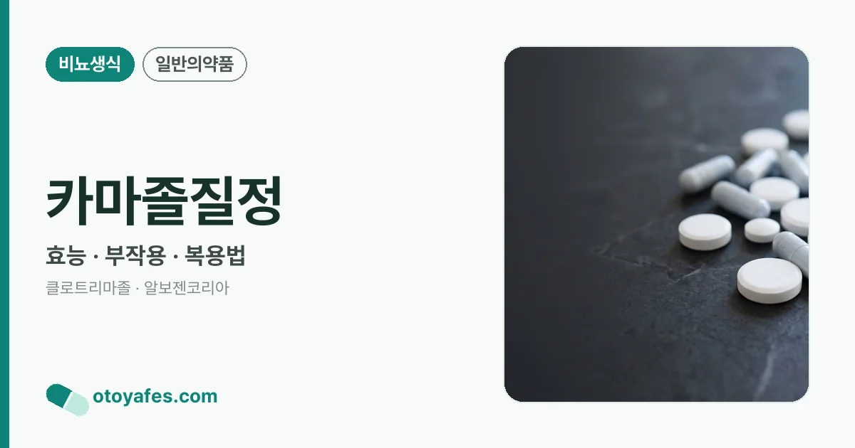 카마졸질정 정리 썸네일