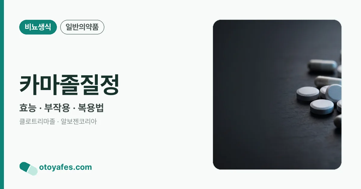 카마졸질정 정리 썸네일