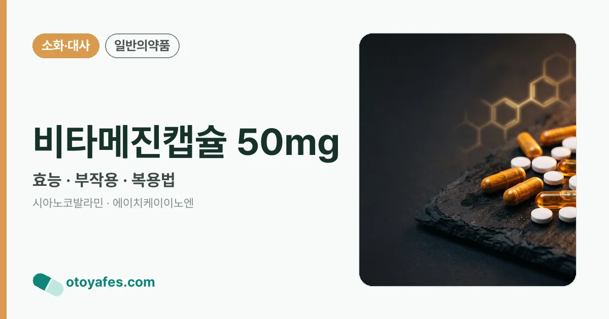 비타메진캡슐 50mg 정리 썸네일
