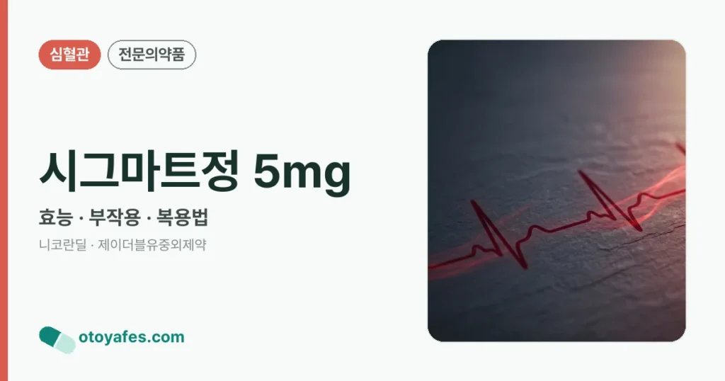 시그마트정 5mg 정리 썸네일