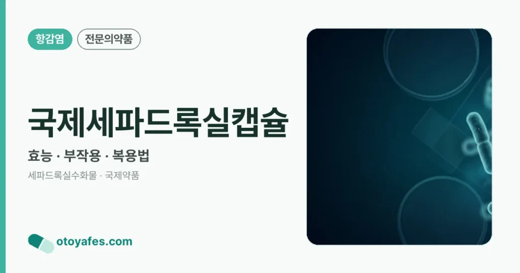 국제세파드록실캡슐 정리 썸네일
