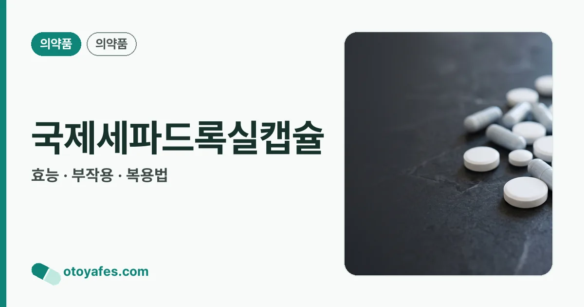 국제세파드록실캡슐 정리 썸네일