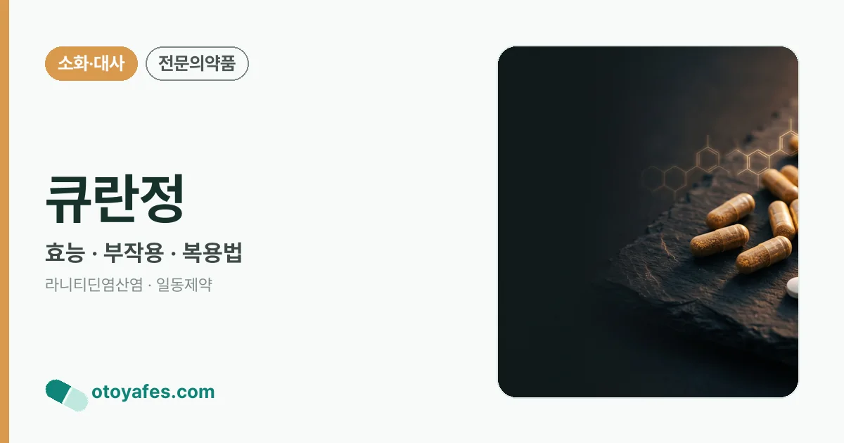 큐란정 정리 썸네일