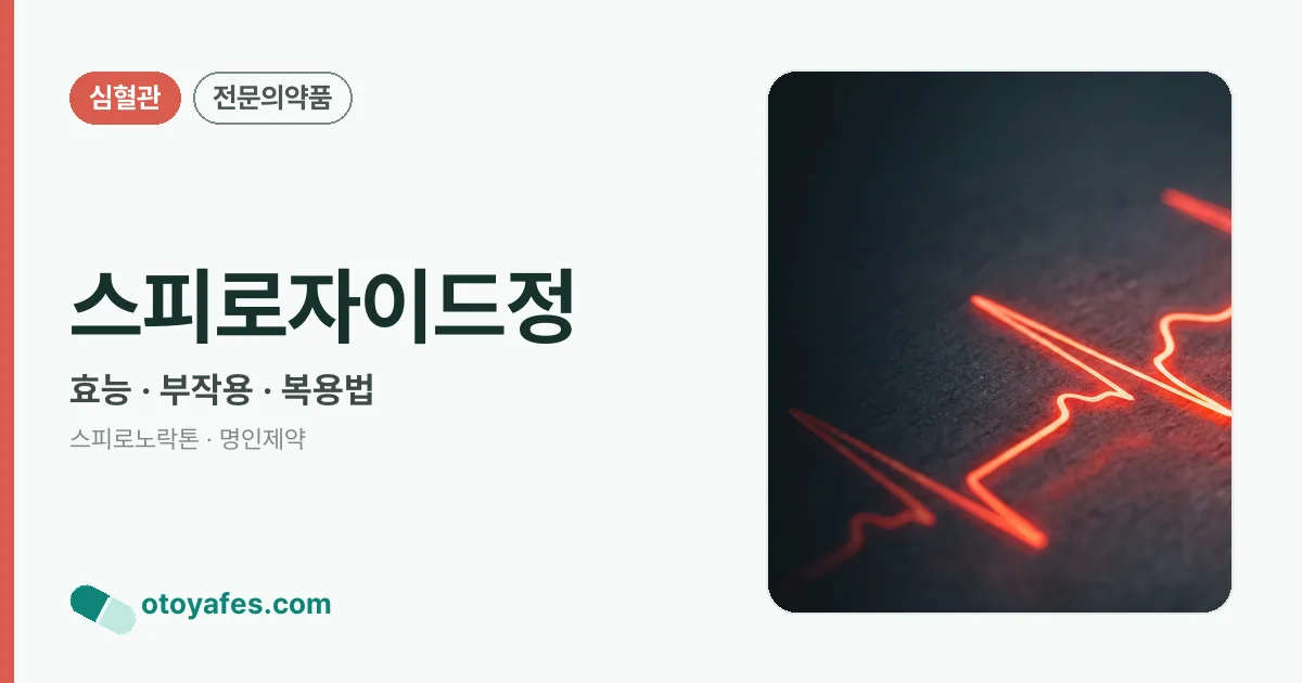 스피로자이드정 정리 썸네일