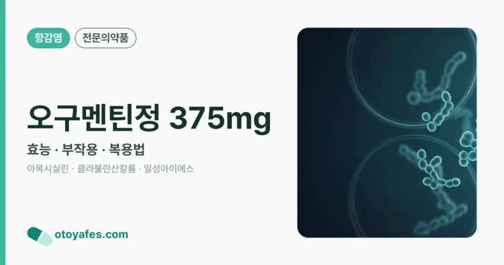 오구멘틴정 375mg 정리 썸네일