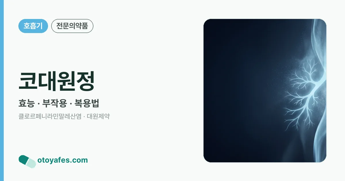코대원정 정리 썸네일