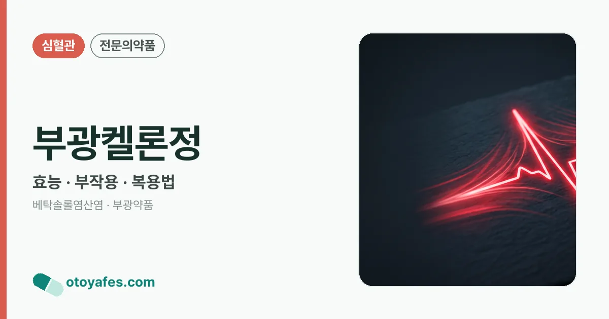 부광켈론정 정리 썸네일