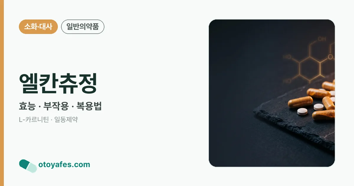 엘칸츄정 정리 썸네일