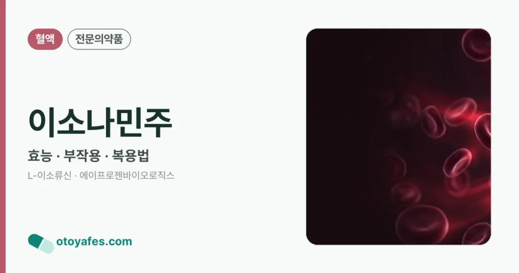 이소나민주 정리 썸네일