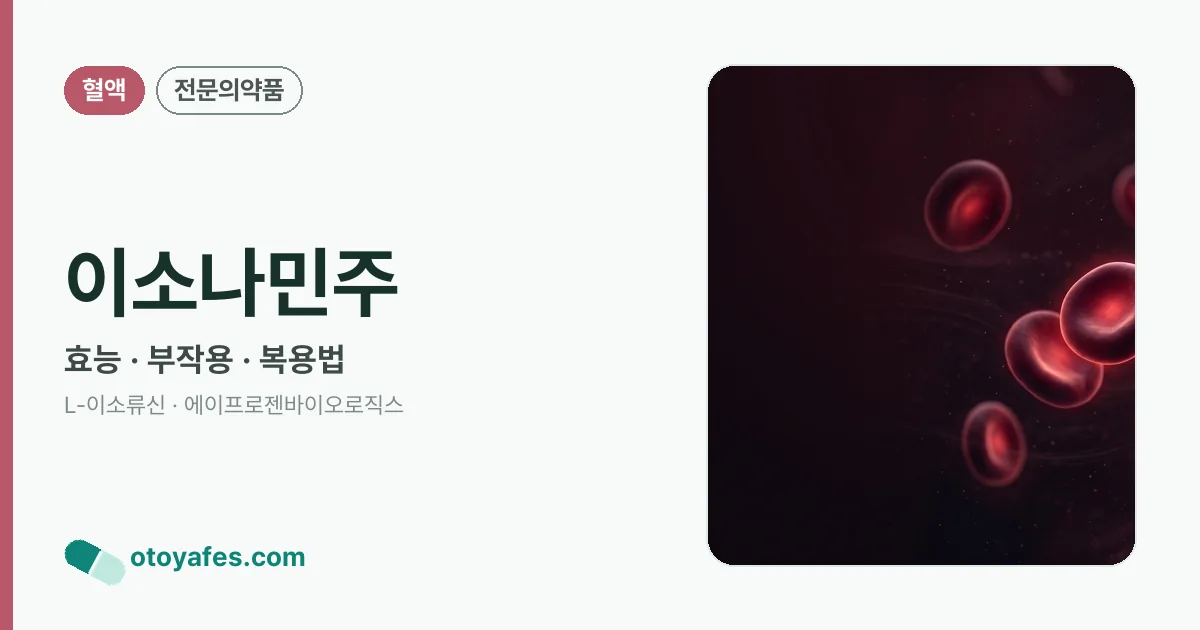 이소나민주 정리 썸네일