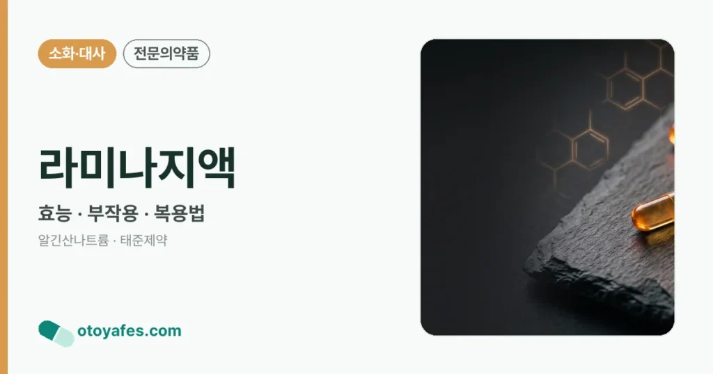 라미나지액 정리 썸네일