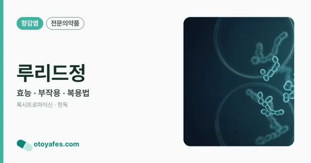 루리드정 정리 썸네일