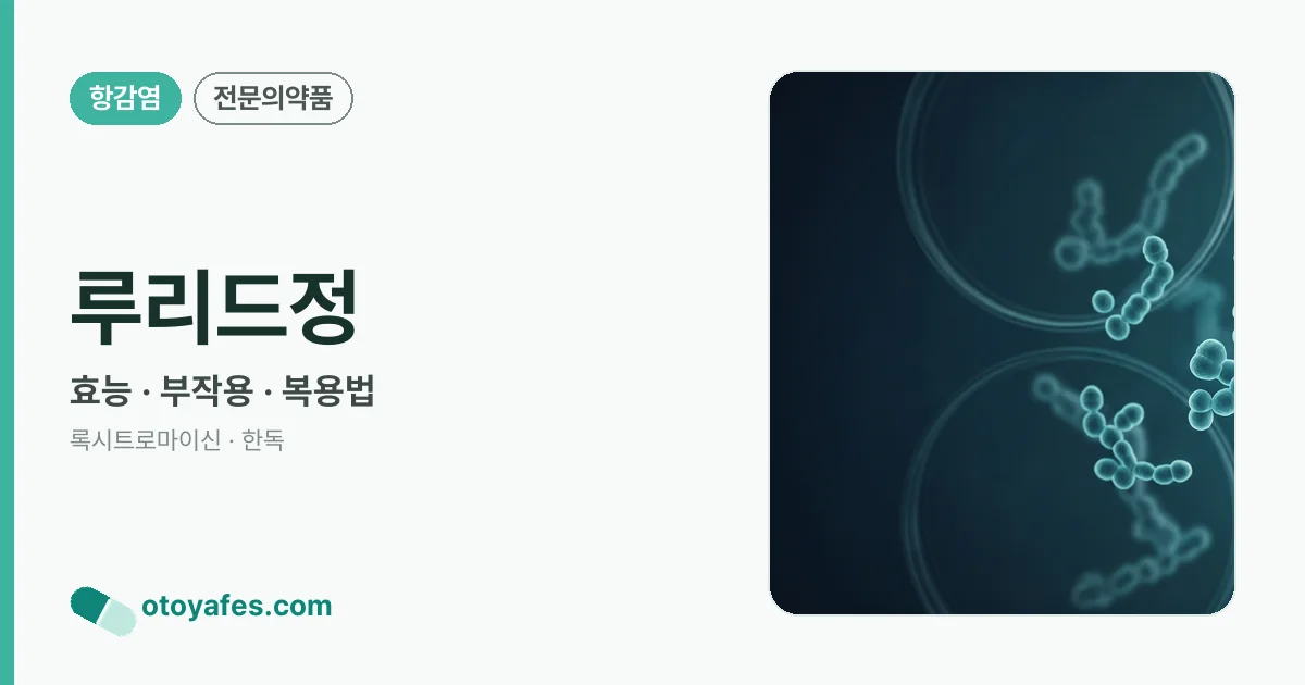 루리드정 정리 썸네일