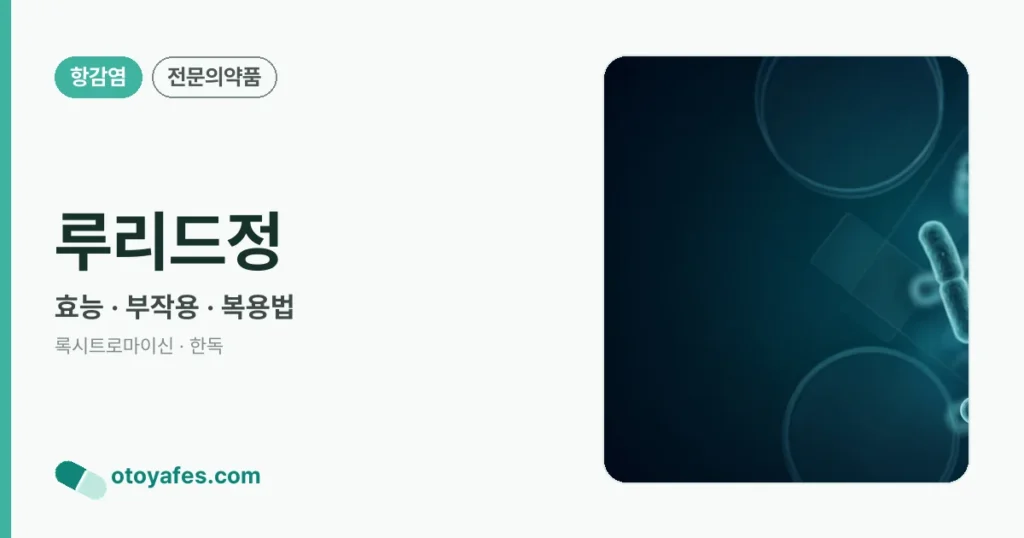 루리드정 정리 썸네일