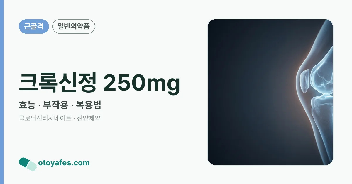 크록신정 250mg 정리 썸네일