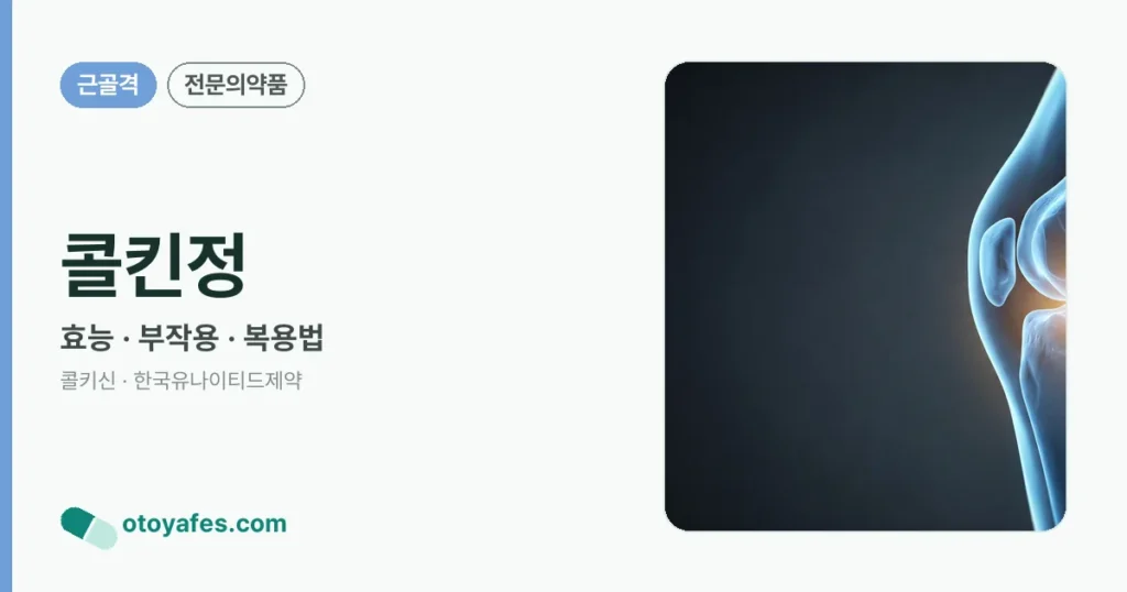 콜킨정 정리 썸네일