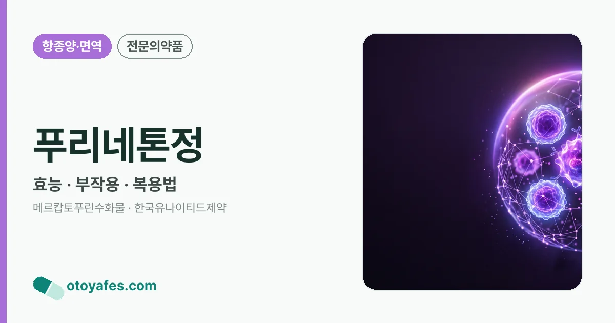 푸리네톤정 정리 썸네일