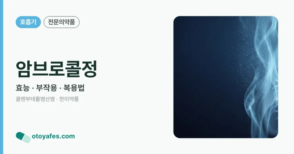 암브로콜정 정리 썸네일