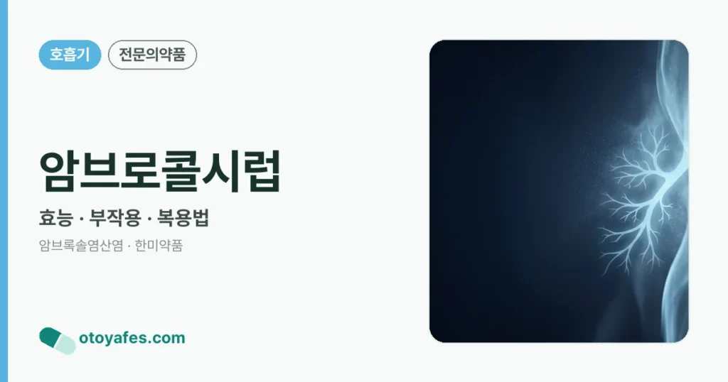 암브로콜시럽 정리 썸네일