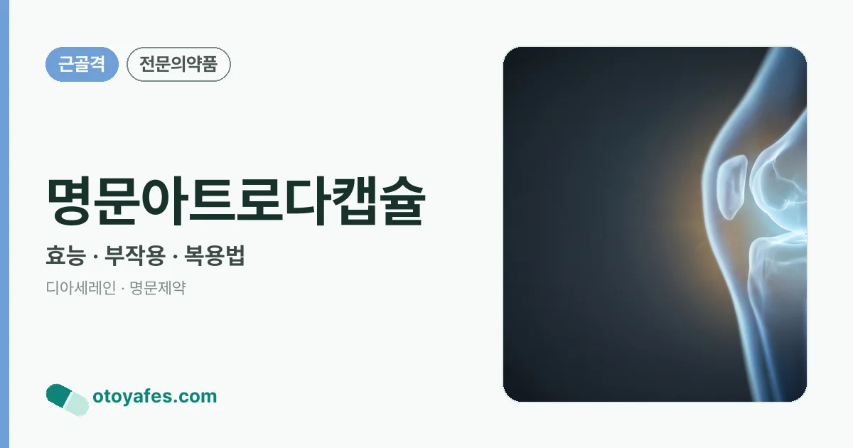 명문아트로다캡슐 정리 썸네일