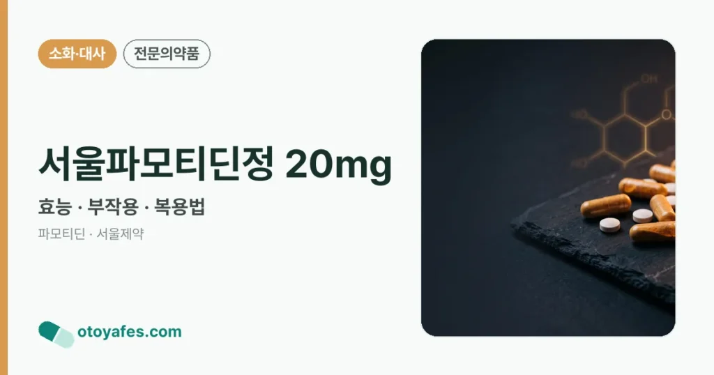 서울파모티딘정 20mg 정리 썸네일