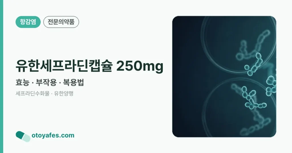 유한세프라딘캡슐 250mg 정리 썸네일