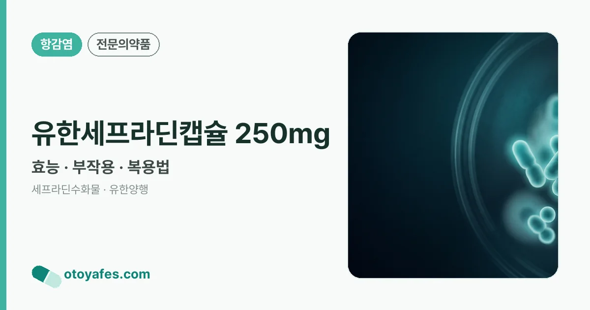 유한세프라딘캡슐 250mg 정리 썸네일