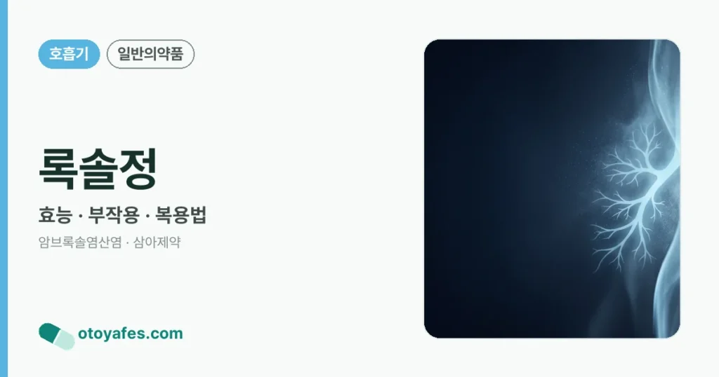 록솔정 정리 썸네일