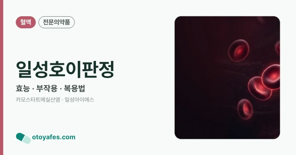 일성호이판정 정리 썸네일