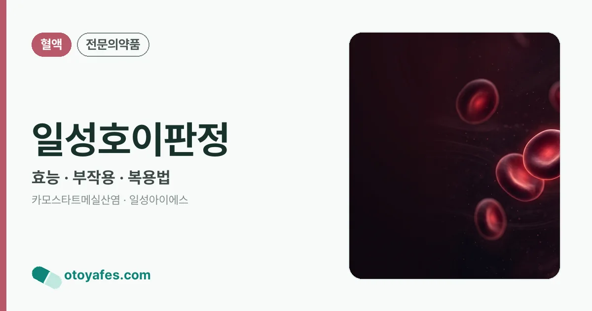 일성호이판정 정리 썸네일