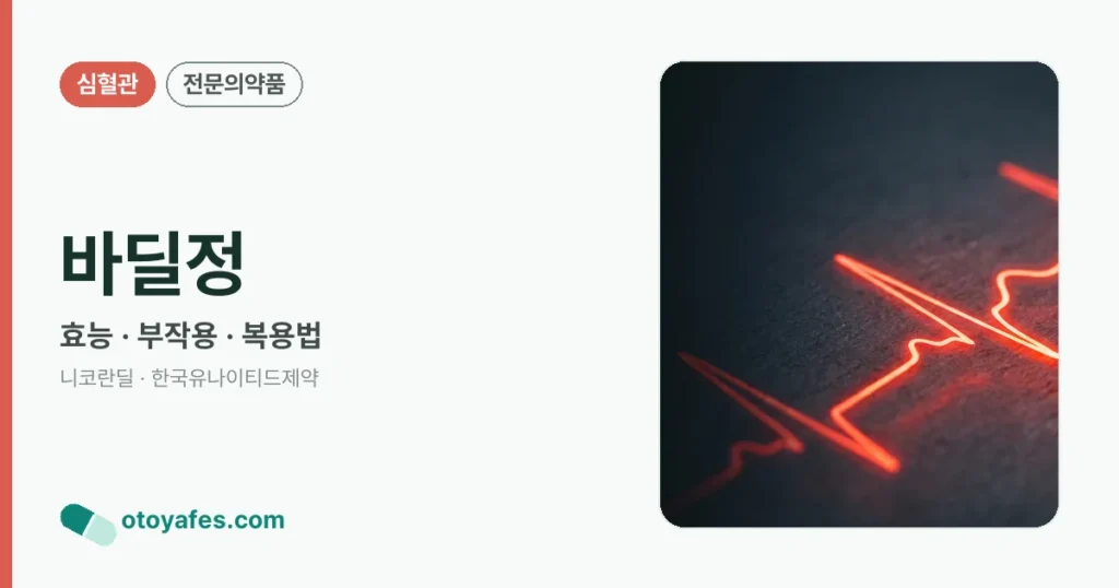 바딜정 정리 썸네일