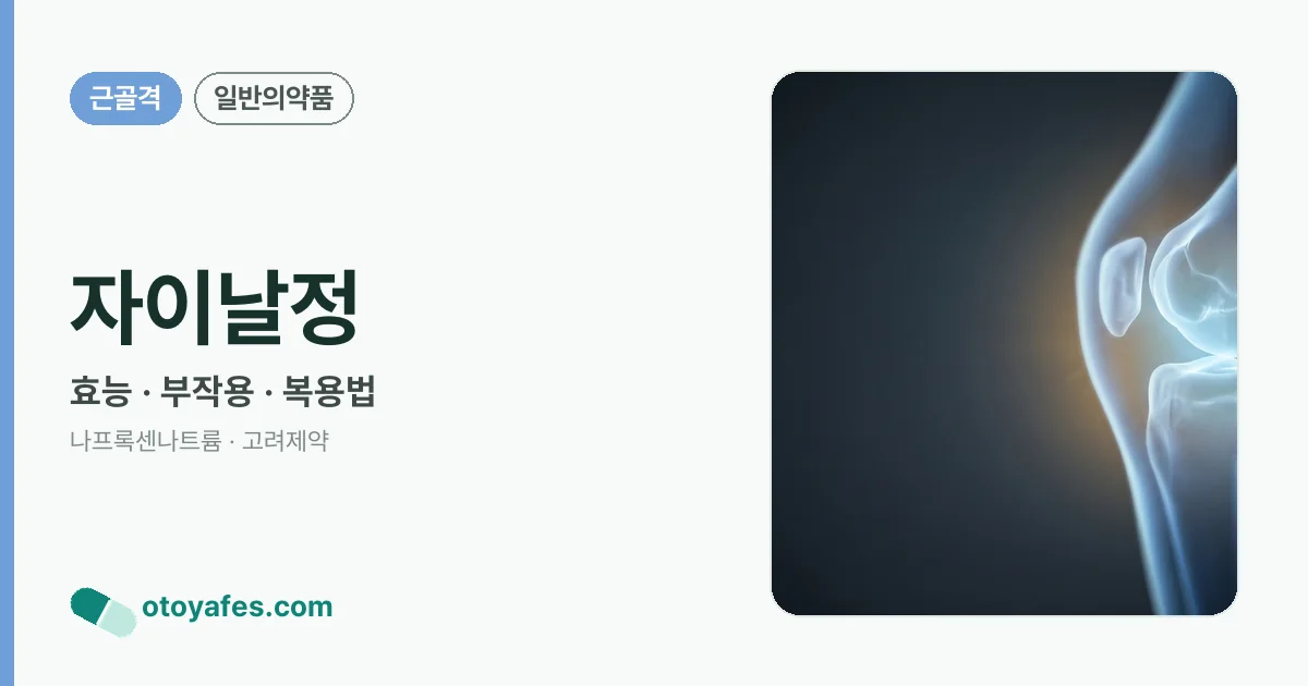 자이날정 정리 썸네일