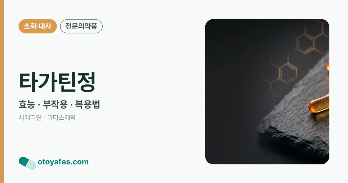 타가틴정 정리 썸네일