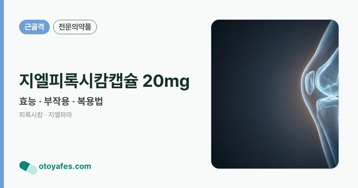 지엘피록시캄캡슐 20mg 정리 썸네일