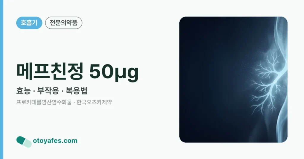 메프친정 50㎍ 정리 썸네일