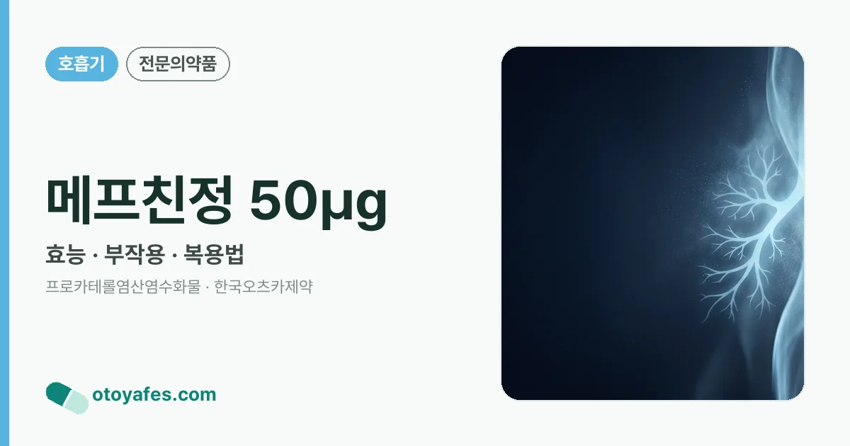 메프친정 50㎍ 정리 썸네일