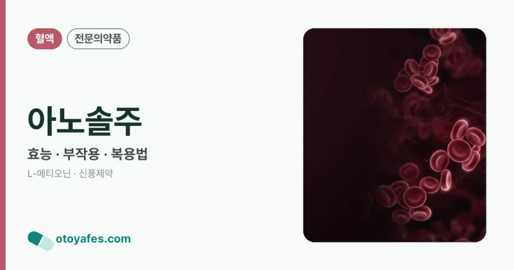 아노솔주 정리 썸네일