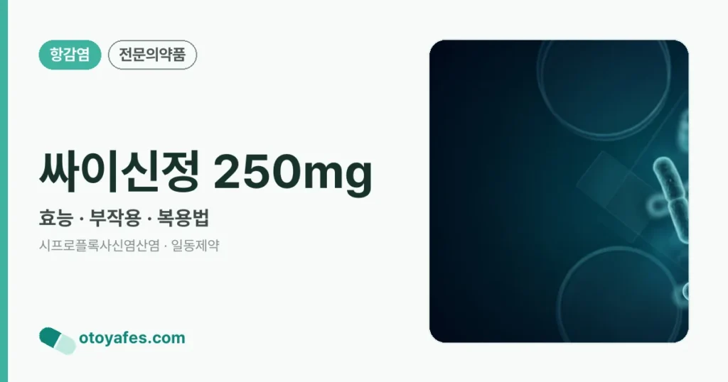 싸이신정 250mg 정리 썸네일