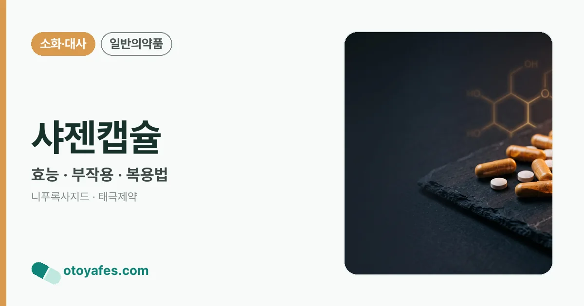 샤젠캡슐 정리 썸네일