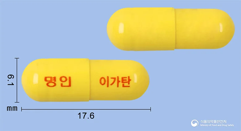 이가탄캡슐 실물 사진