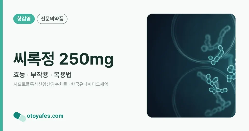 씨록정 250mg 정리 썸네일