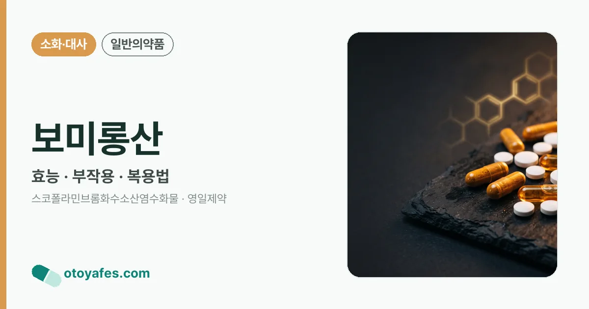 보미롱산 정리 썸네일
