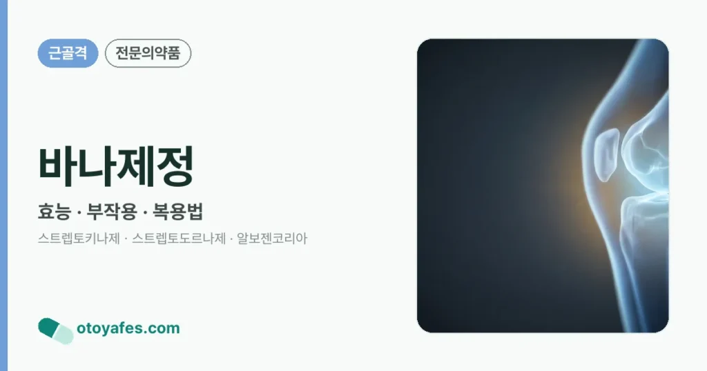 바나제정 정리 썸네일