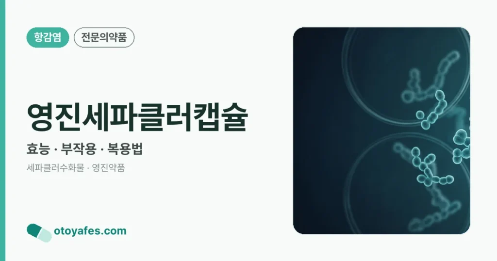 영진세파클러캡슐 정리 썸네일