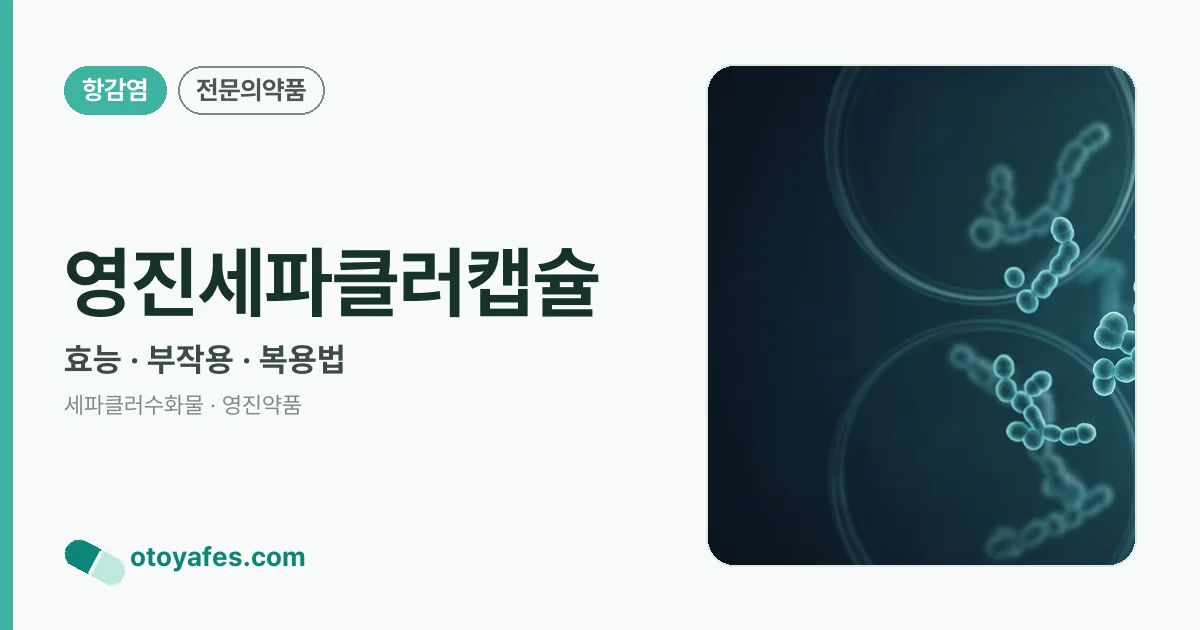영진세파클러캡슐 정리 썸네일